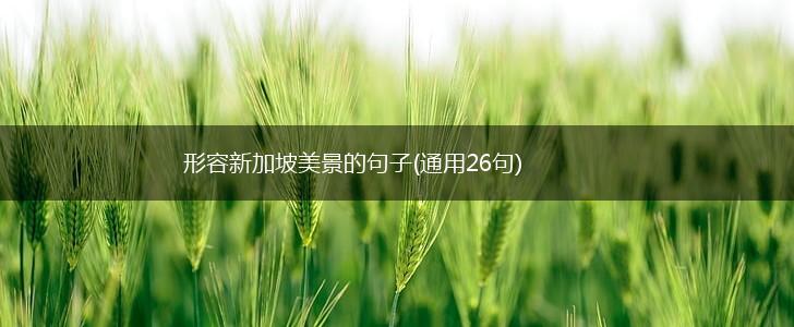 形容新加坡美景的句子(通用26句),第1张
