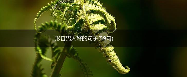 形容男人好的句子(59句),第1张