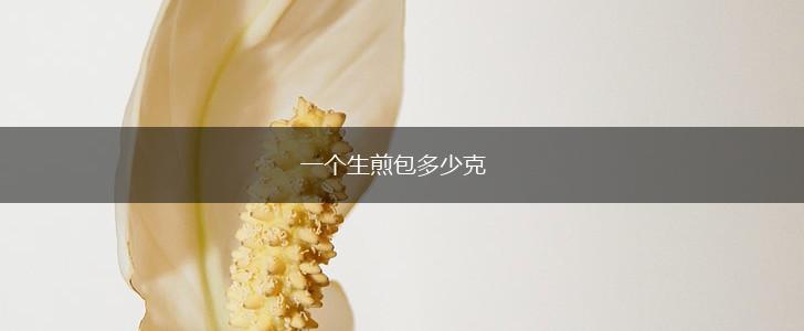 一个生煎包多少克,第1张