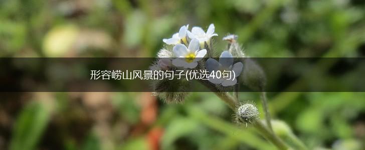 形容崂山风景的句子(优选40句),第1张