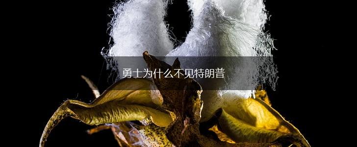勇士为什么不见特朗普,第1张