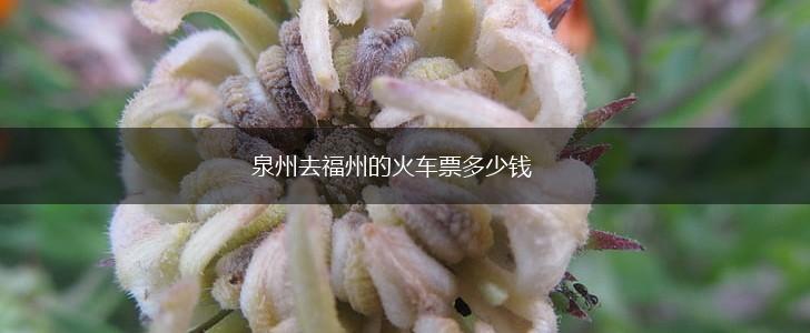 泉州去福州的火车票多少钱,第1张