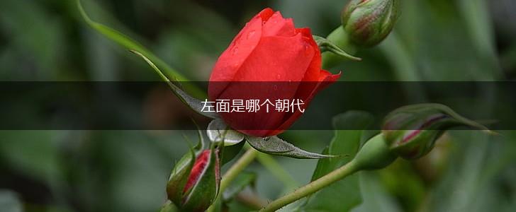 左面是哪个朝代,第1张
