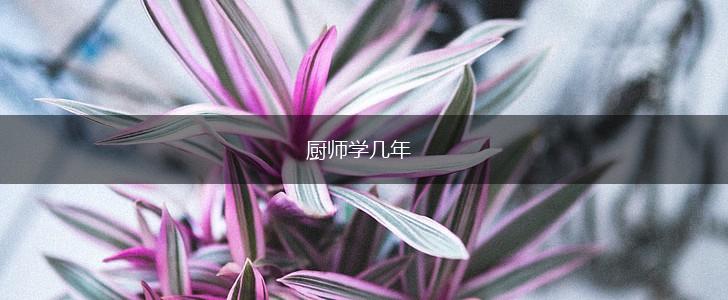 厨师学几年,第1张
