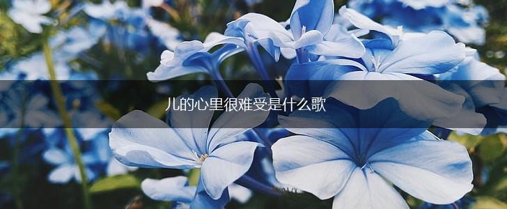儿的心里很难受是什么歌,第1张