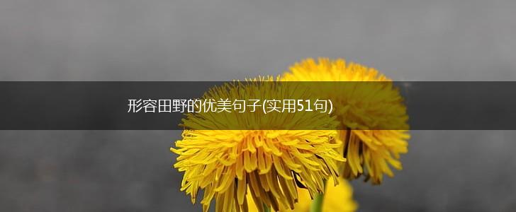 形容田野的优美句子(实用51句),第1张