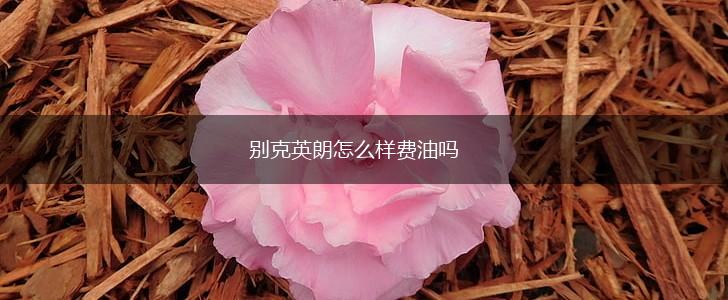 别克英朗怎么样费油吗,第1张
