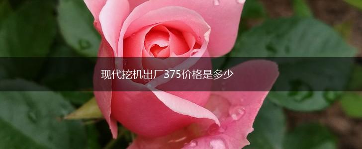 现代挖机出厂375价格是多少,第1张