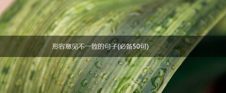 形容意见不一致的句子(必备50句),第1张