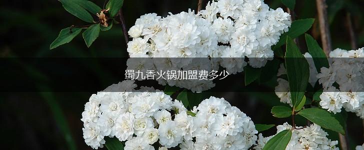 蜀九香火锅加盟费多少,第1张