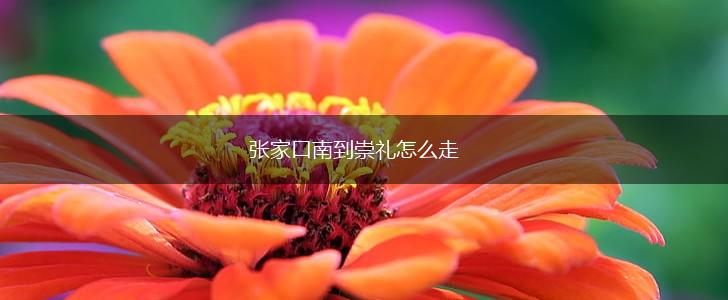 张家口南到崇礼怎么走,第1张