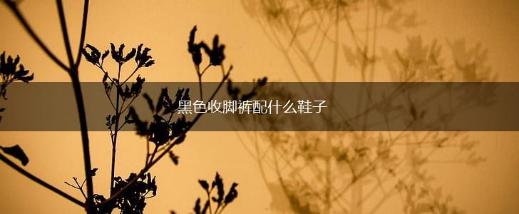 黑色收脚裤配什么鞋子,第1张