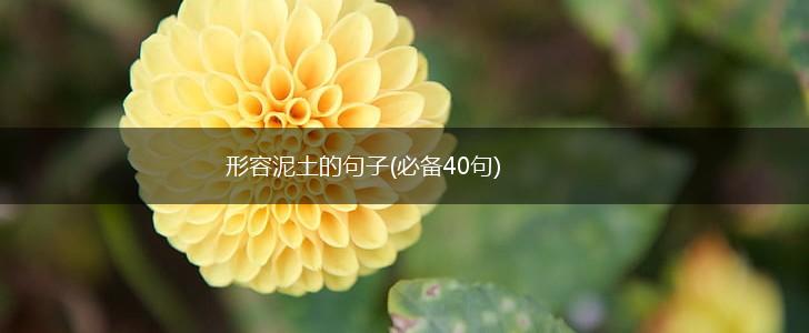形容泥土的句子(必备40句),第1张