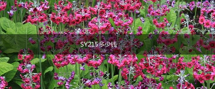 SY215多少钱,第1张