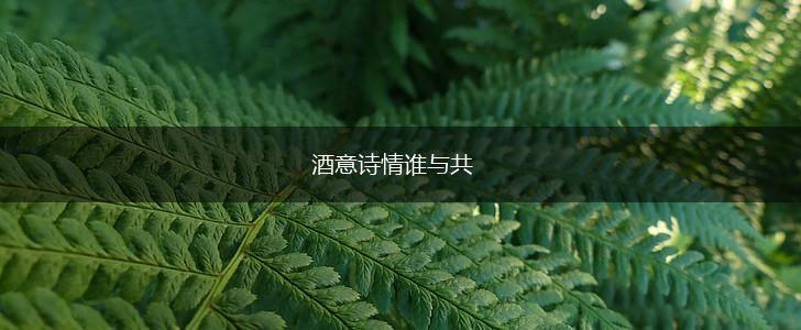 酒意诗情谁与共,第1张