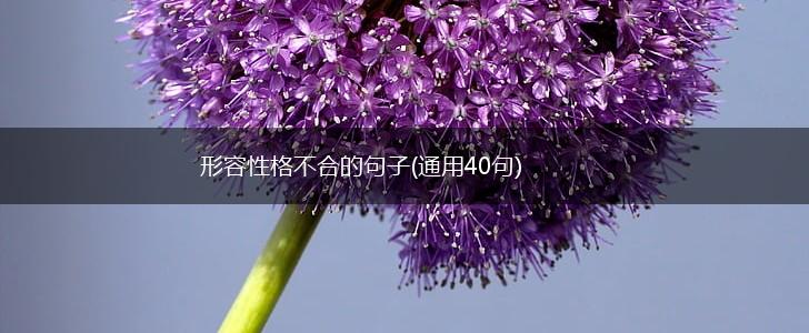 形容性格不合的句子(通用40句),第1张