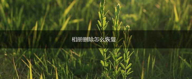相册删除怎么恢复,第1张