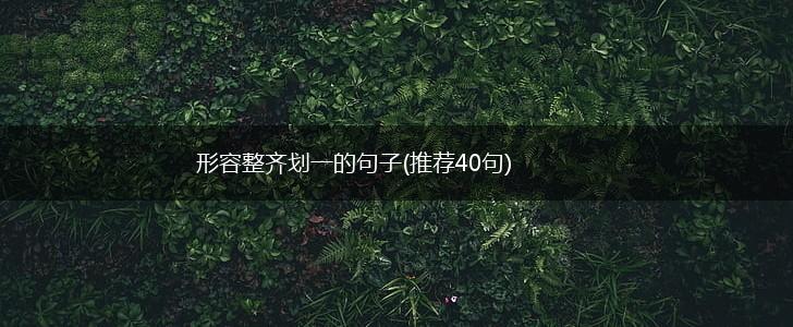 形容整齐划一的句子(推荐40句),第1张