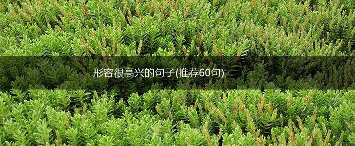 形容很高兴的句子(推荐60句),第1张