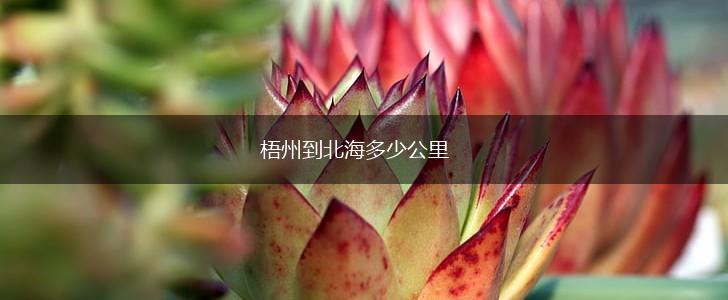 梧州到北海多少公里,第1张