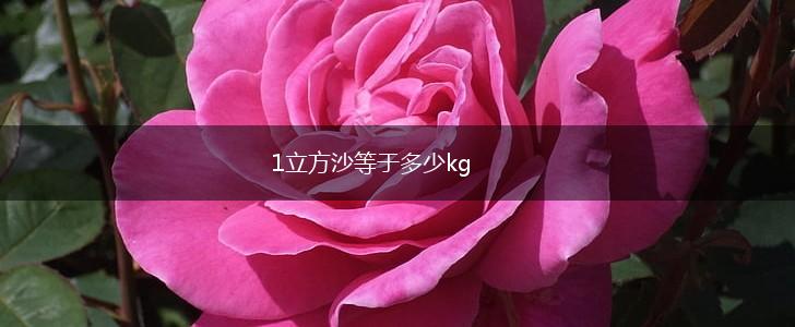 1立方沙等于多少kg,第1张