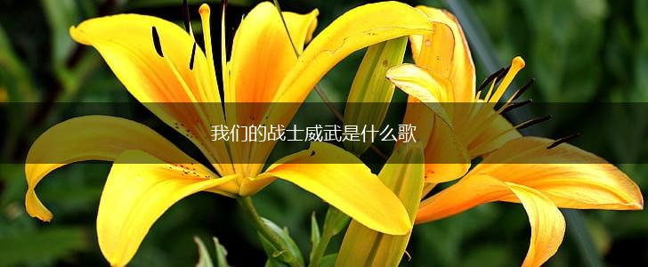 我们的战士威武是什么歌,第1张