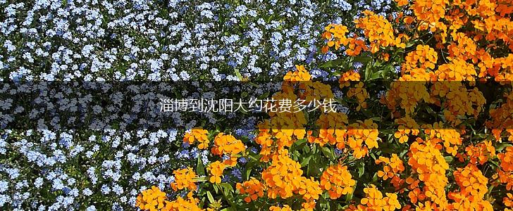 淄博到沈阳大约花费多少钱,第1张
