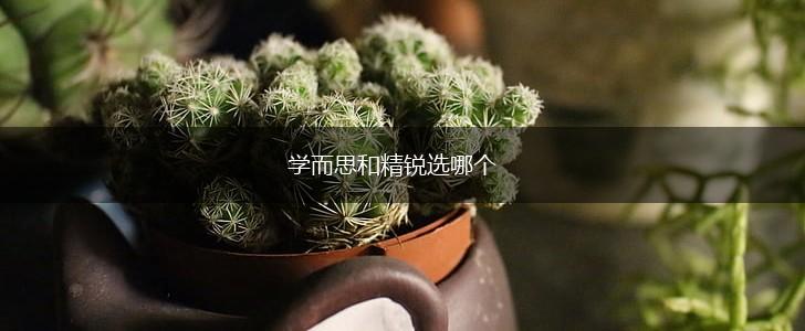 学而思和精锐选哪个,第1张
