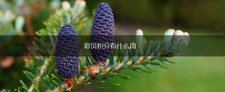 彩贝积分有什么用,第1张