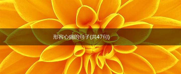 形容心痛的句子(共47句),第1张
