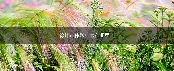 徐州市体彩中心在哪里,第1张