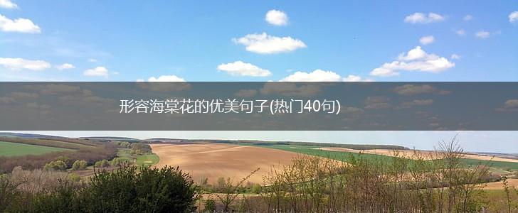 形容海棠花的优美句子(热门40句),第1张