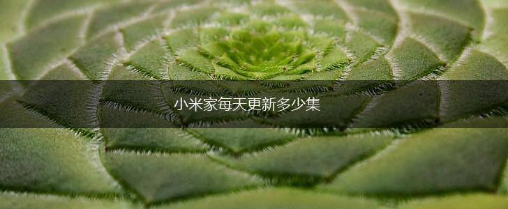小米家每天更新多少集,第1张