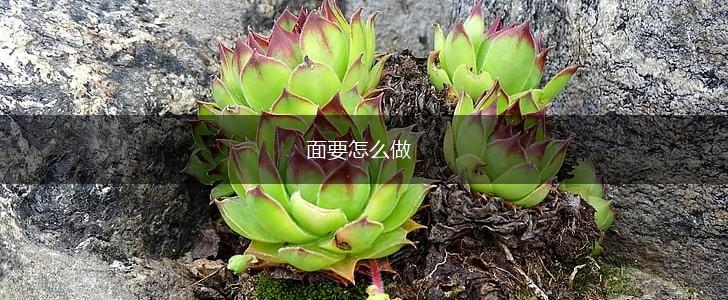 面要怎么做,第1张