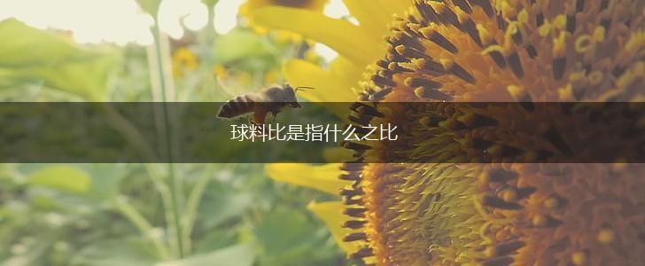 球料比是指什么之比,第1张