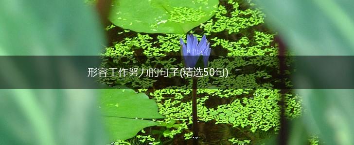 形容工作努力的句子(精选50句),第1张