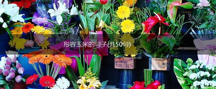 形容玉米的句子(共50句),第1张