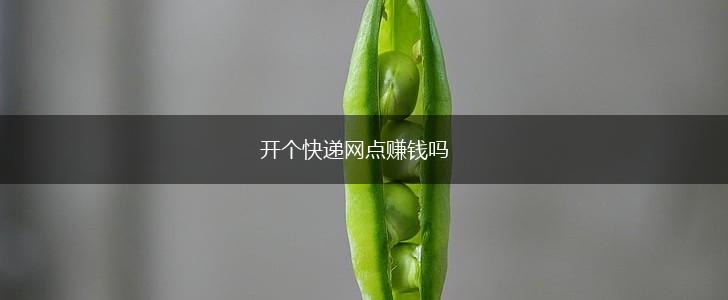 开个快递网点赚钱吗,第1张