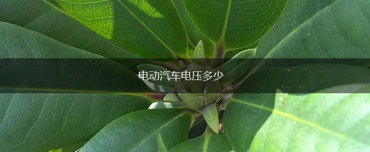 电动汽车电压多少,第1张