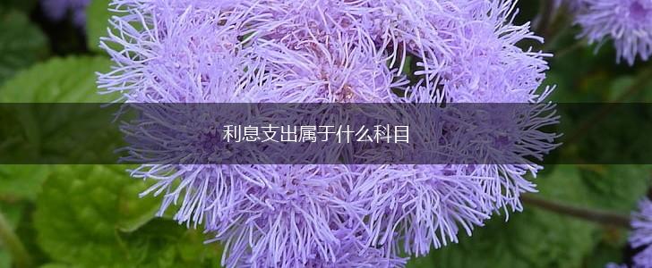 利息支出属于什么科目,第1张