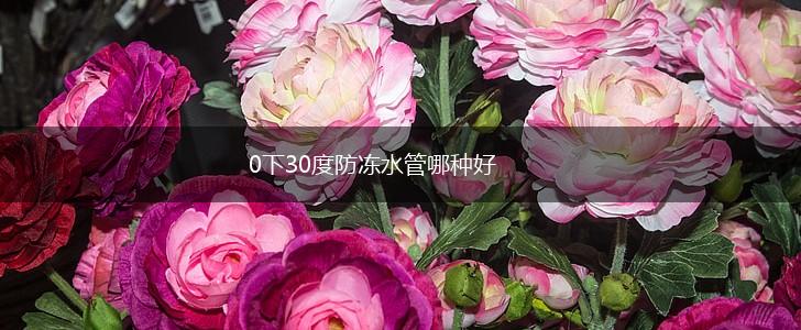 0下30度防冻水管哪种好,第1张