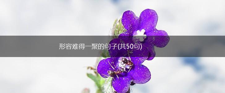 形容难得一聚的句子(共50句),第1张