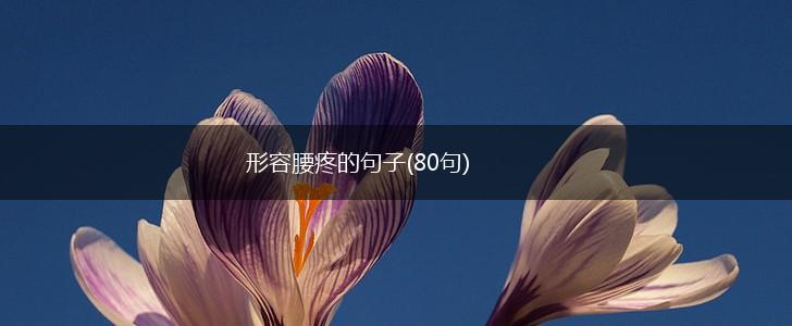 形容腰疼的句子(80句),第1张
