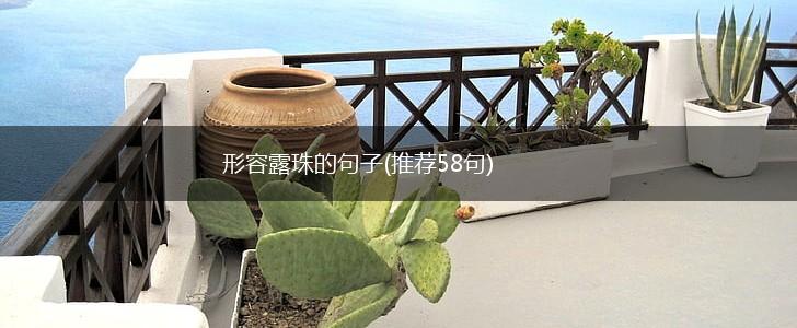 形容露珠的句子(推荐58句),第1张