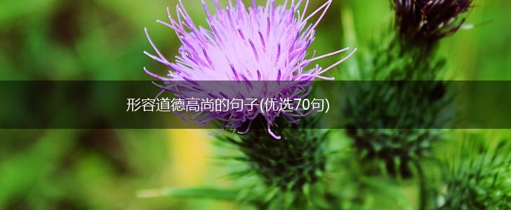 形容道德高尚的句子(优选70句),第1张