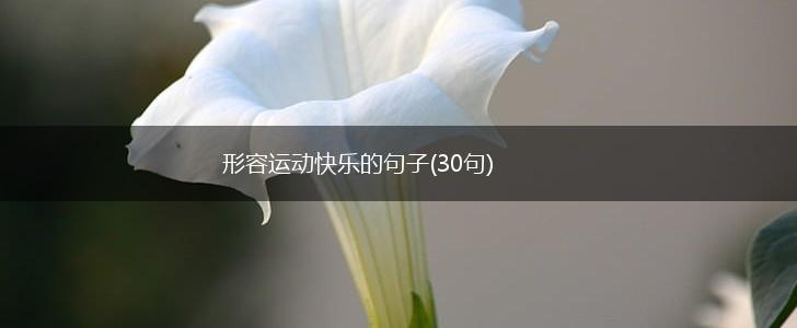 形容运动快乐的句子(30句),第1张
