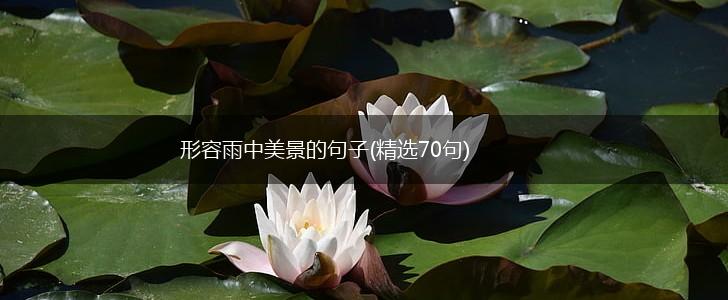 形容雨中美景的句子(精选70句),第1张