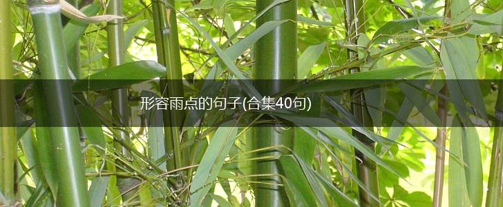 形容雨点的句子(合集40句),第1张