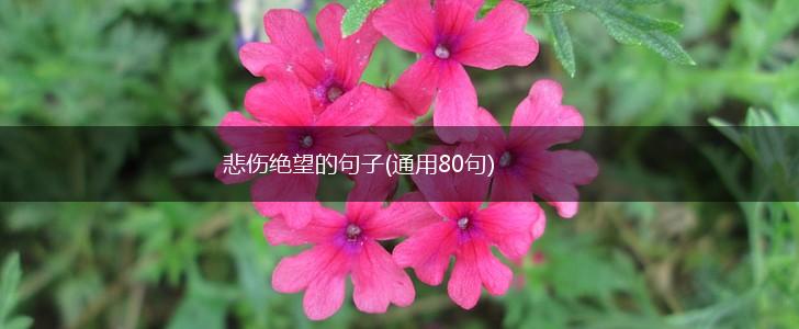 悲伤绝望的句子(通用80句),第1张