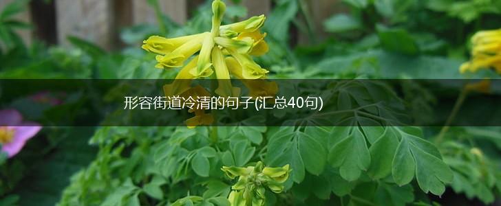 形容街道冷清的句子(汇总40句),第1张